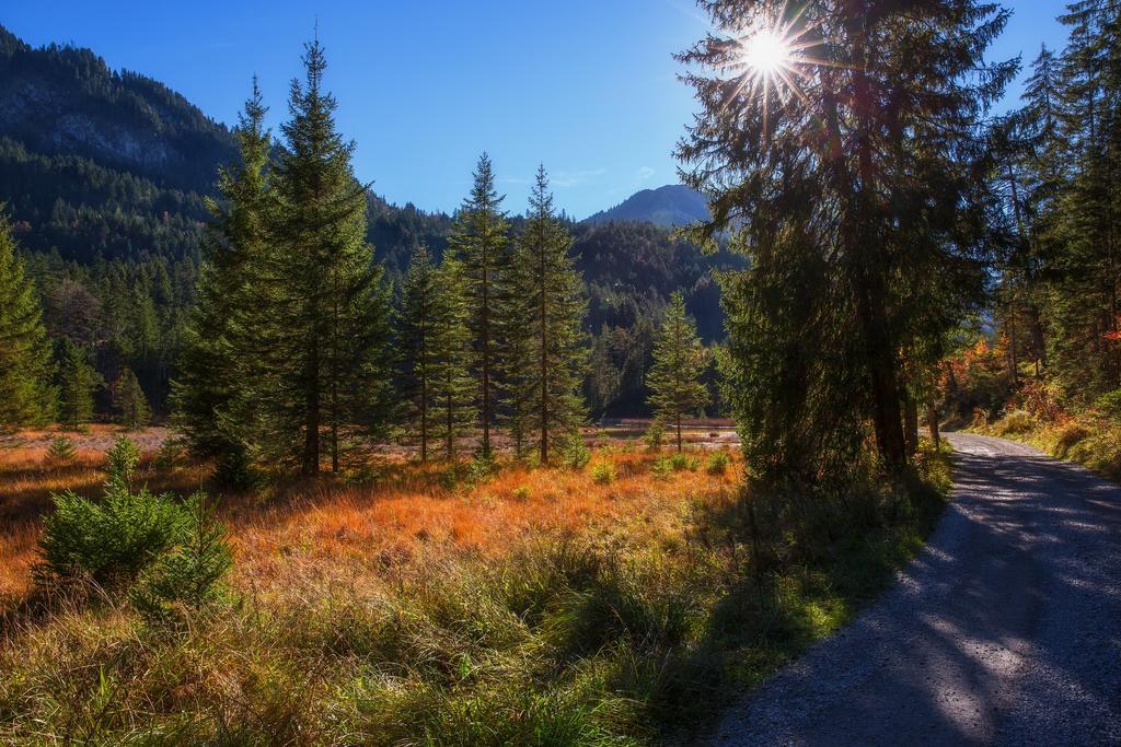 Burgchalet Reutte Værelse billede